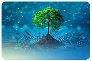 Innovation Image