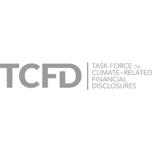 TCFD icon
